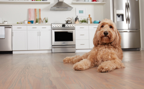 Caring for Vinyl Flooring